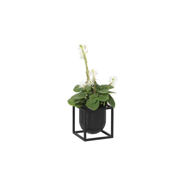 Audo Kubus Urtepotte 10 i Sort - Minimalistisk Design