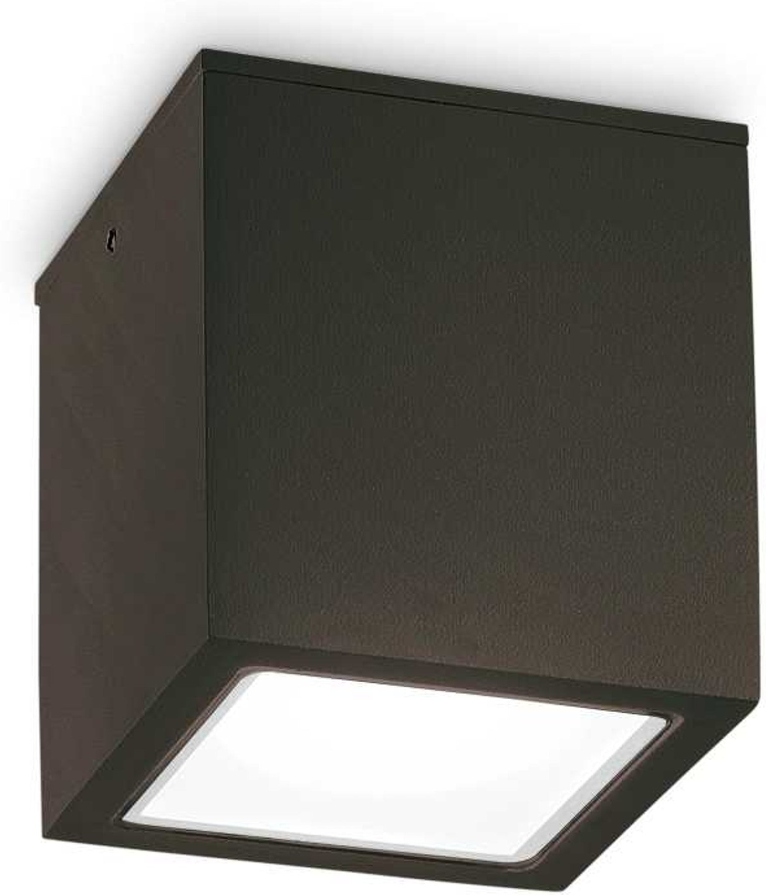 Udendørs Loftslampe Ideal Lux Techo Sort Ip54 Metalglas Med Gu10  8021696251578