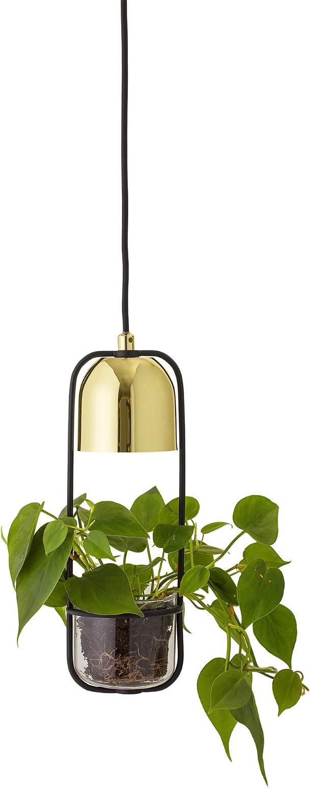 Pendellampe med Planteskål i Glas og Jern fra Bloomingville