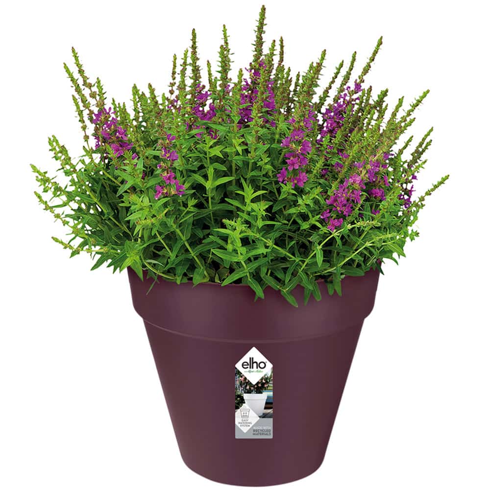 Urtepotte Mulberry Mat - Robust og Genanvendelig Blomsterkrukke