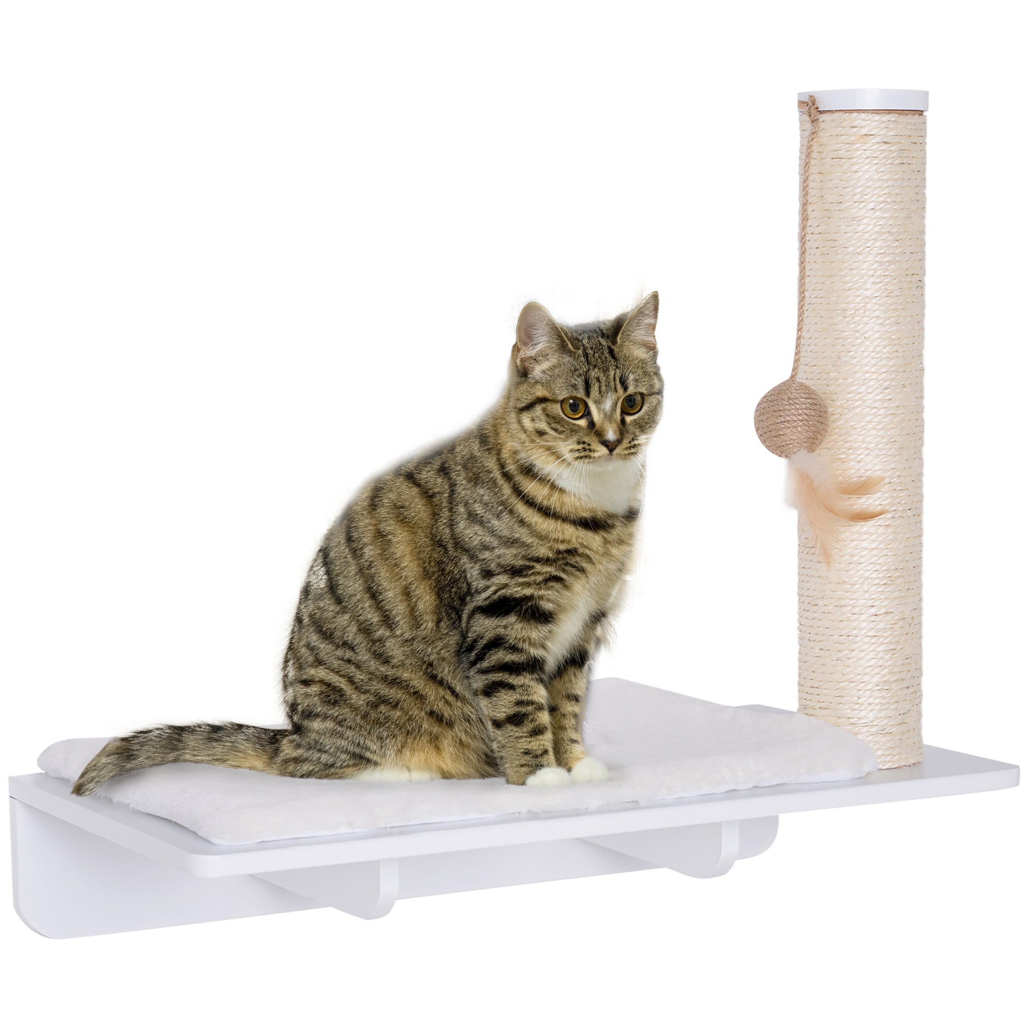 Klatrevæg Til Katte Vægmonteret Kradsetræ Katteligger Med Kradsetræ 53 Cm Kattehylde Med Boldlegetøj Plysmåtte Kradsetræ Til Katte Kattesøjle Hvid  4250871292813