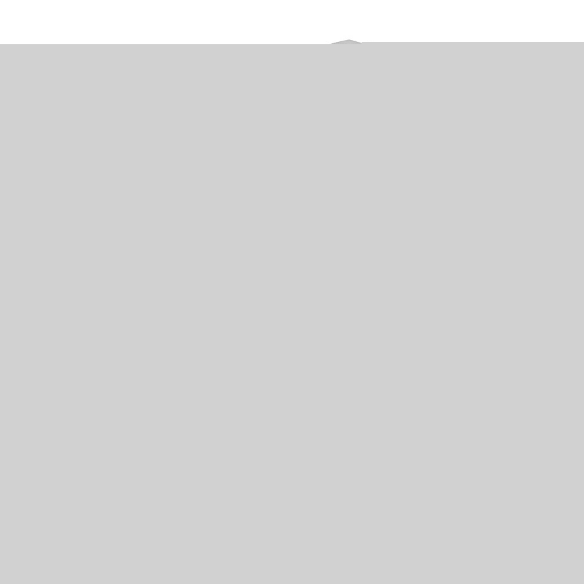 Frugt-  Grøntsagsskærer Horisontal  4976654000771